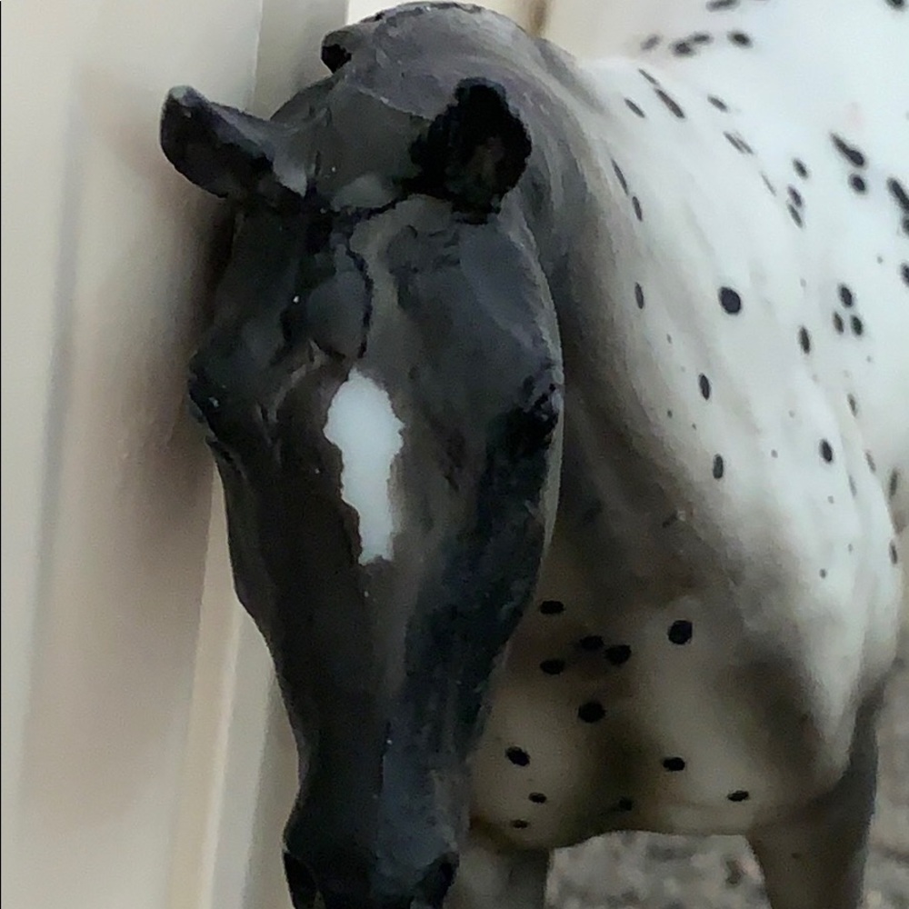 Meet your Posher, Molly